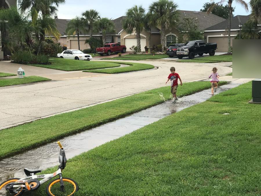 My kids playing in the puddles after a Florida rain.