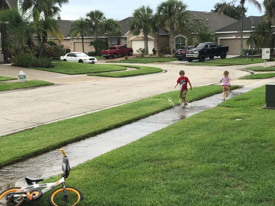 Family Neighborhood